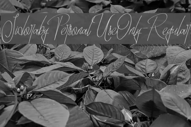 SidorabyPersonalUseOnly-Regular Font examples