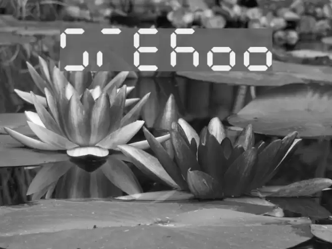 Siekoo Font examples