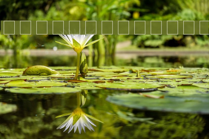 Siemreap Font examples