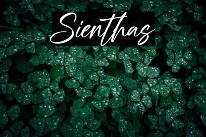 Sienthas Example 1