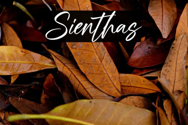 Sienthas Example 2
