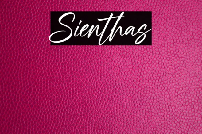 Sienthas Example 3
