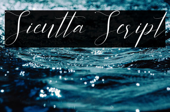 Sientta Script Example 1