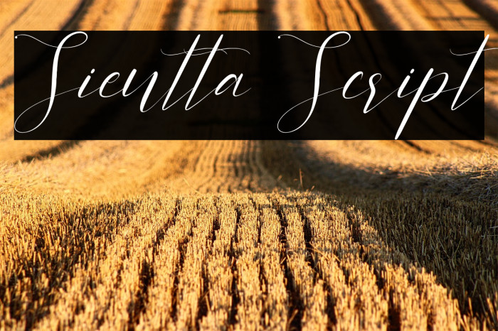 Sientta Script Example 2