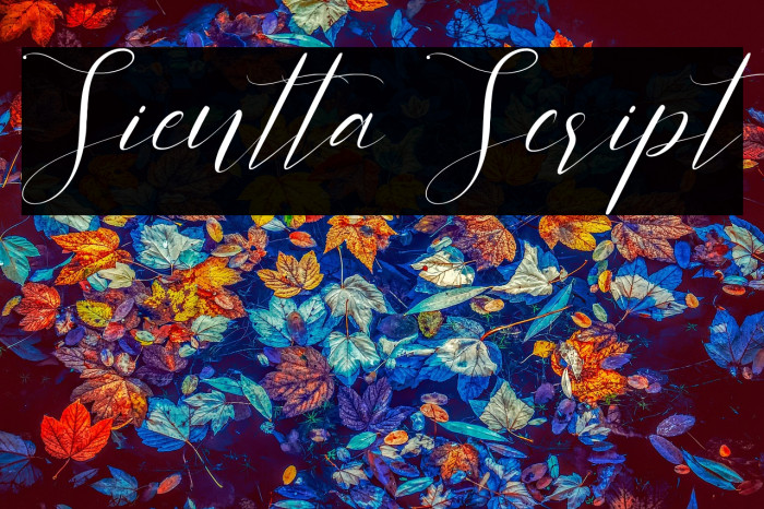 Sientta Script Example 3