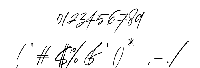 Sieralova Font OTHER CHARS