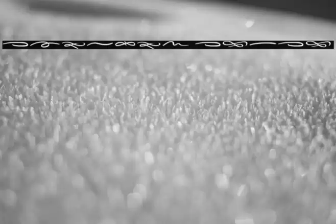 Sieroty Swash Font examples