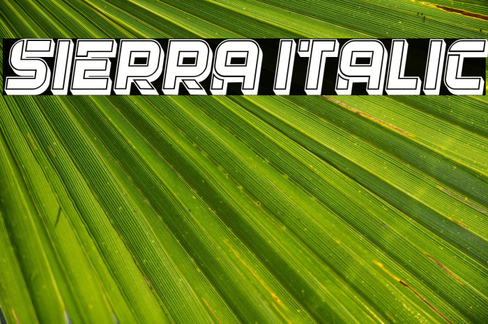 Sierra Italic Example 1
