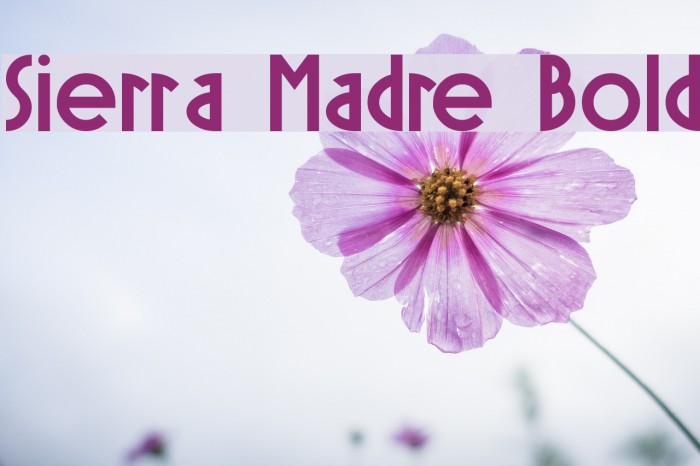 Sierra Madre Bold Font examples