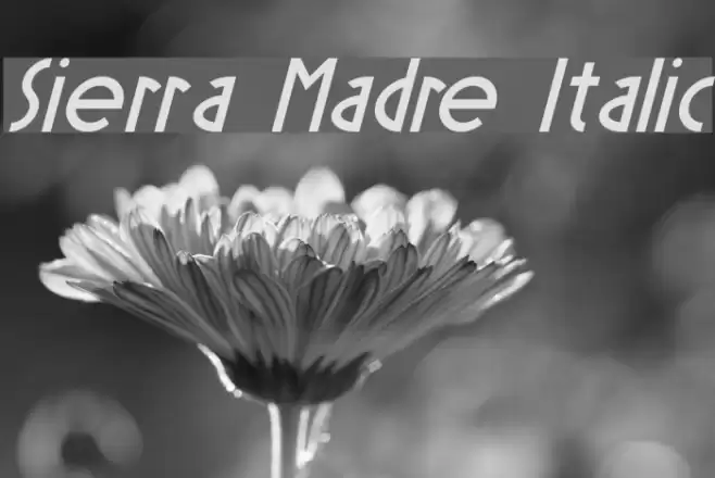Sierra Madre Italic Font examples