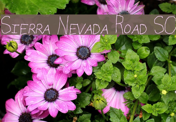 Sierra Nevada Road SC Font examples
