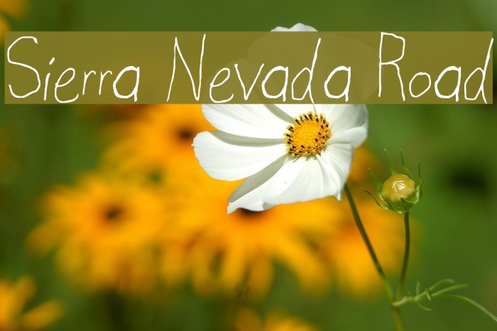 Sierra Nevada Road Font examples
