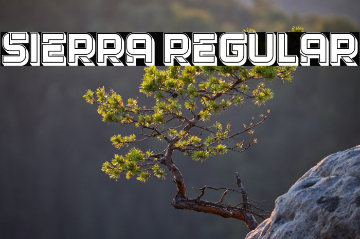 Sierra Regular Example 2