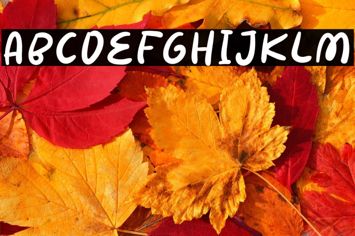 SierraMoon-Regular Example 1