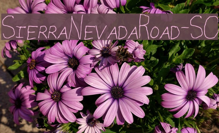 SierraNevadaRoad-SC Example 2