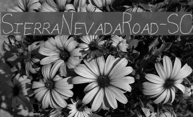 SierraNevadaRoad-SC examples