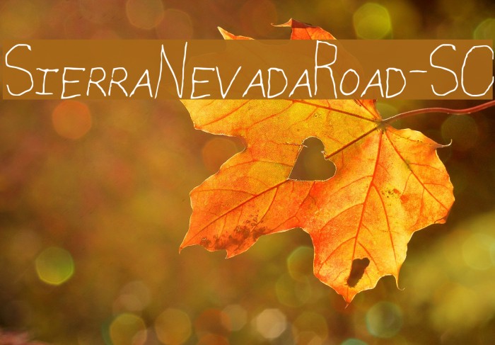 SierraNevadaRoad-SC Example 3