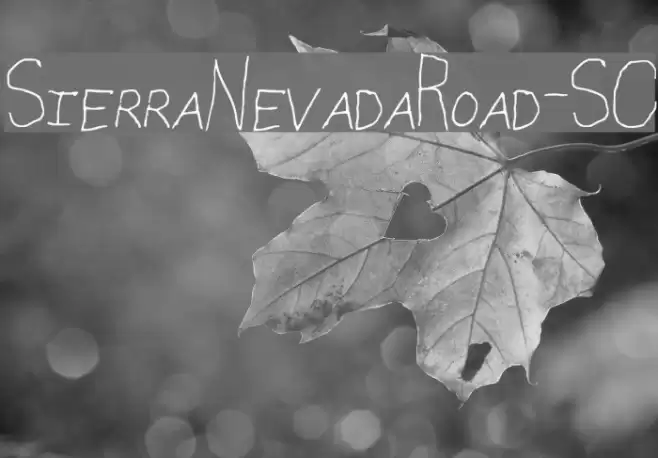 SierraNevadaRoad-SC examples