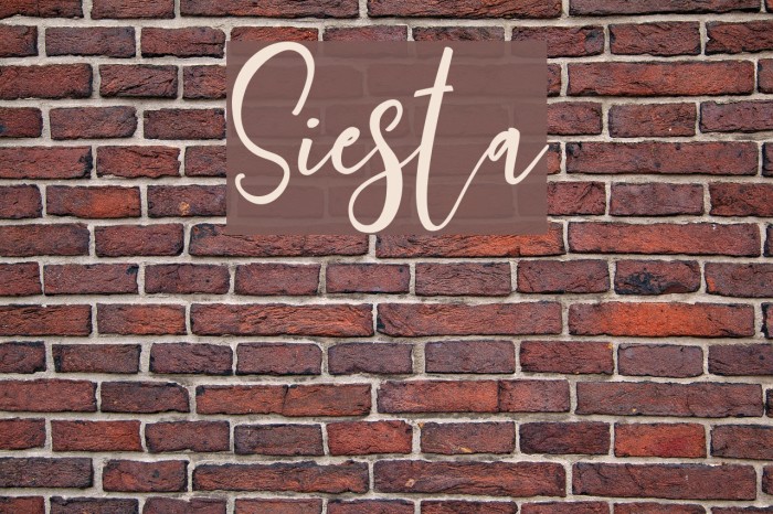 Siesta Font examples
