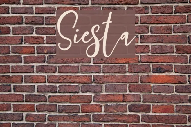 Siesta Example 3