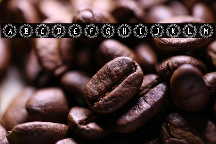 Siestha Monogram Regular Example 1