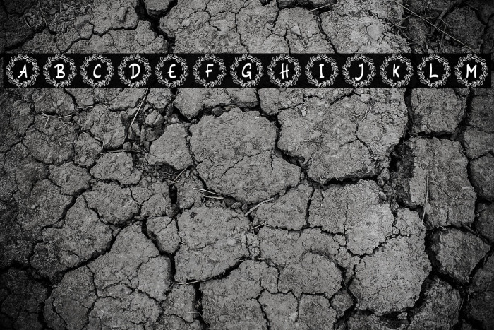 Siestha Monogram Regular Example 2