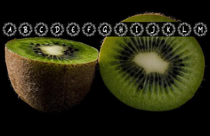 Siestha Monogram Regular Example 3