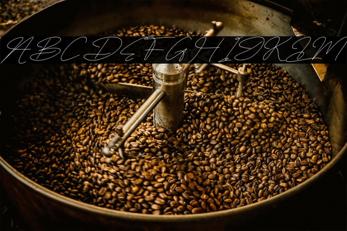 Sifnatur Risthofa DEMO VERSION Italic Example 1