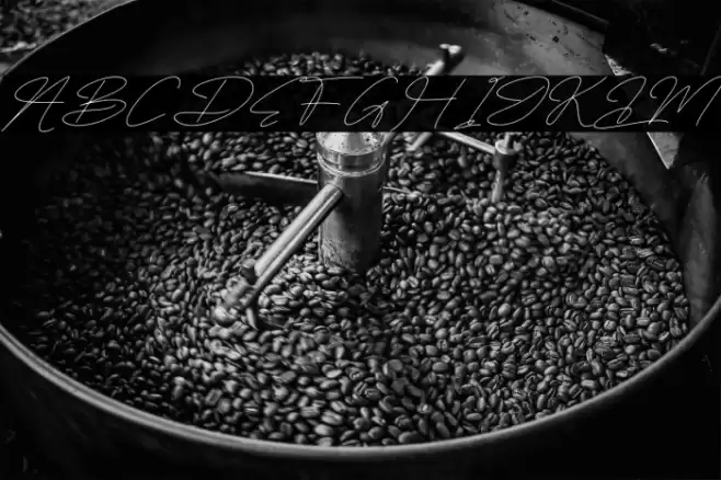 Sifnatur Risthofa DEMO VERSION Italic Caratteri examples