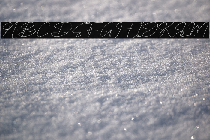 Sifnatur Risthofa DEMO VERSION Example 3