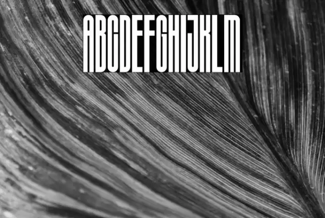 Sigana Font examples