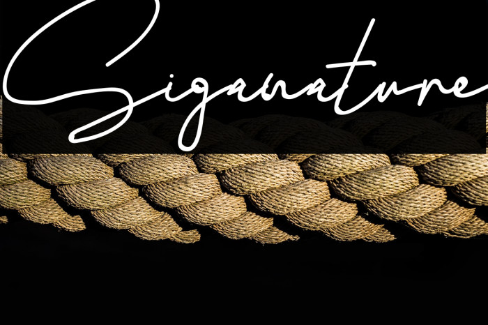 Siganature Example 1