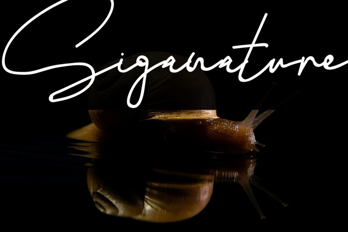 Siganature Example 2