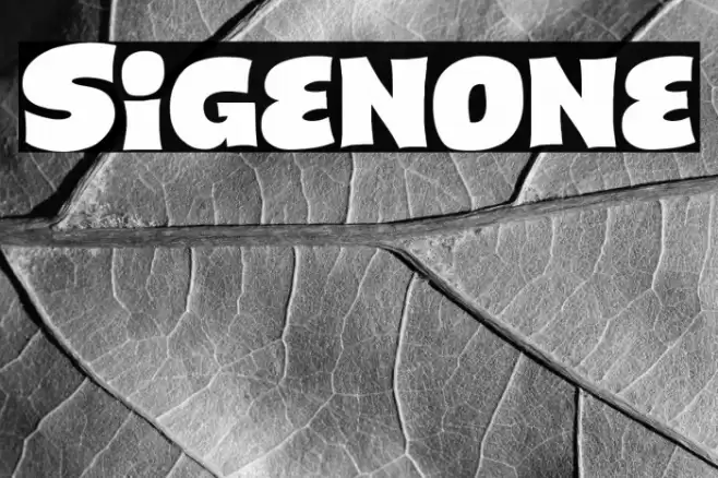 Sigenone Caratteri examples