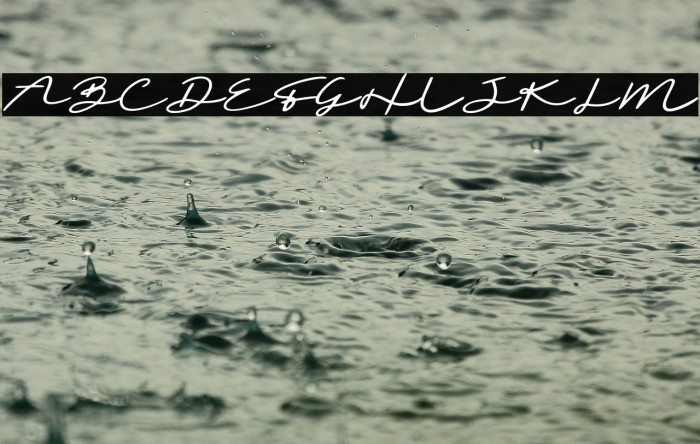 Sighnora Demo Example 1