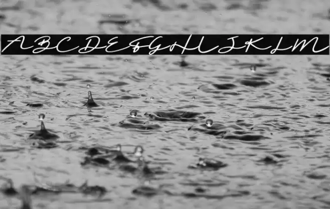 Sighnora Demo Font examples