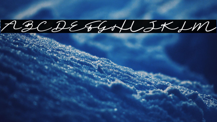 Sighnora Demo Example 2