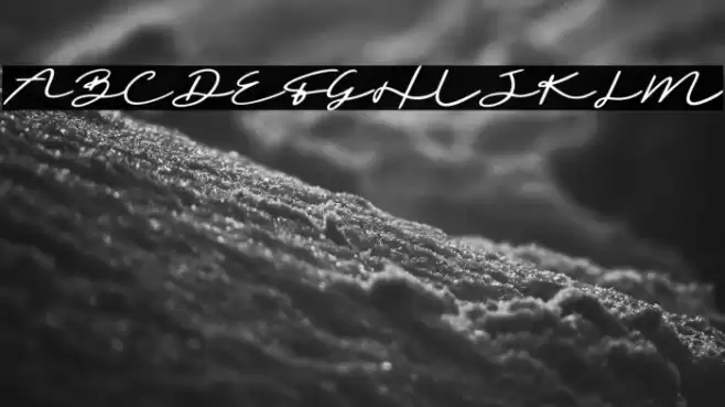 Sighnora Demo Font examples