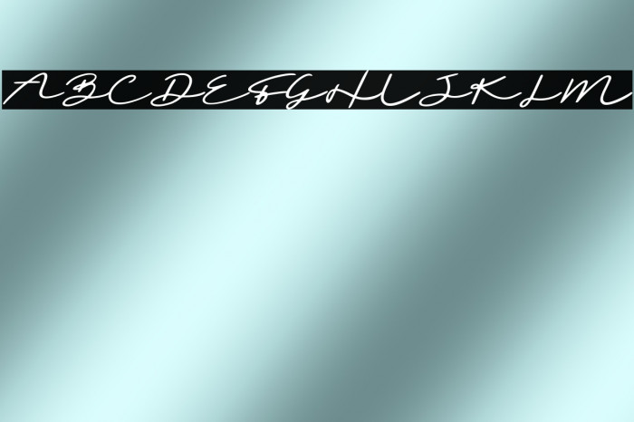 Sighnora Demo Example 3