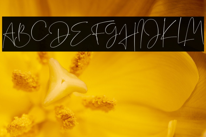 Sightwell Signature Font examples