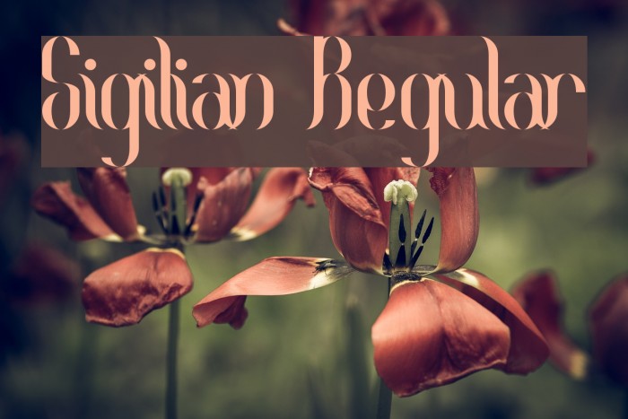 Sigilian Regular Font examples