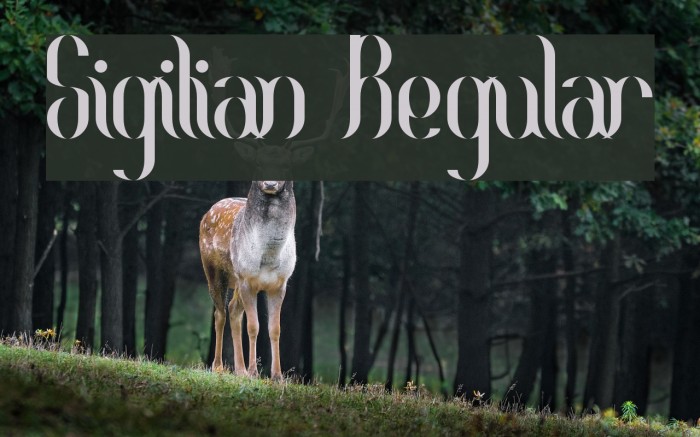 Sigilian Regular Font examples