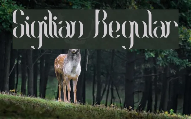 Sigilian Regular Example 3