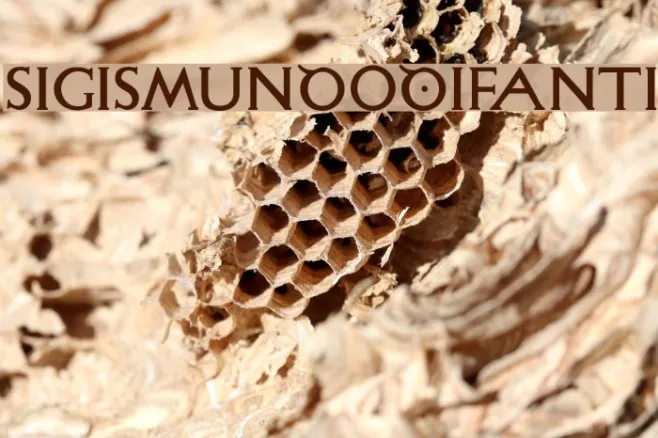 SigismundoDiFanti Example 1