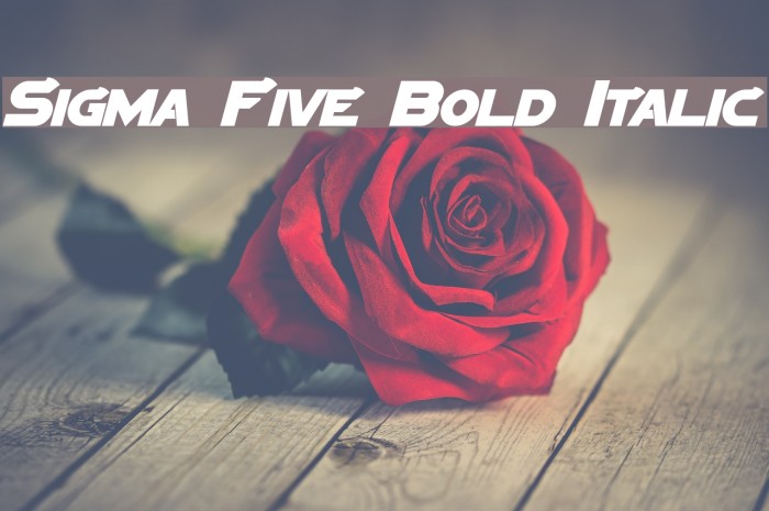 Sigma Five Bold Italic Font examples