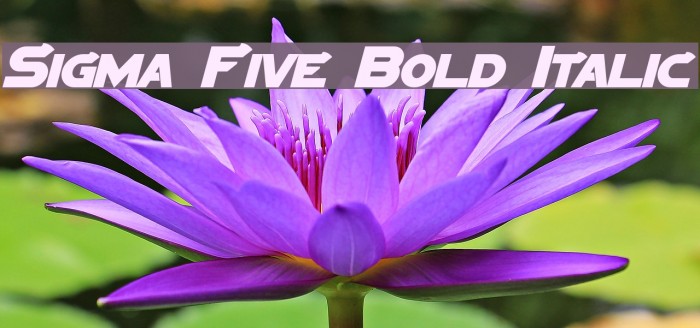 Sigma Five Bold Italic Font examples