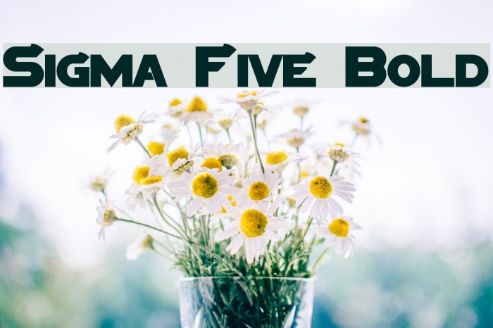 Sigma Five Bold Font examples