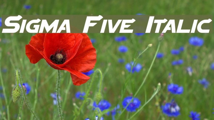 Sigma Five Italic Font examples