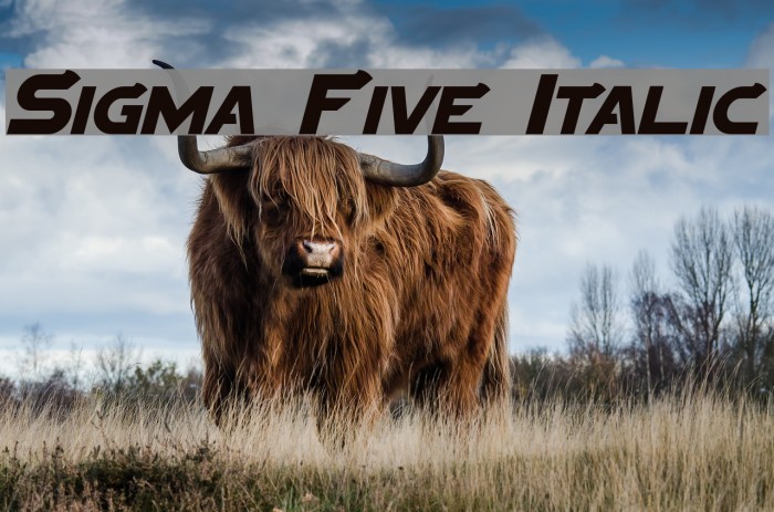 Sigma Five Italic Font examples