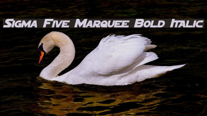Sigma Five Marquee Bold Italic Font examples